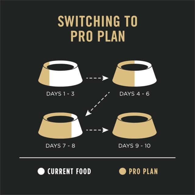 Purina Pro Plan Sensitive Skin and Stomach Dog Food Dry, Adult Salmon & Rice Formula, Digestive Health - 16 lb. Bag - Image 2