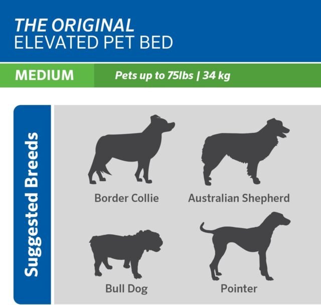 Coolaroo Original Elevated Dog Bed - Breathable Off-The-Ground Pet Bed with Cooling Fabric, Joint Relief & Moisture-Resistant Fabric, 100% Recyclable, Easy Clean, Grey, Medium - Image 2