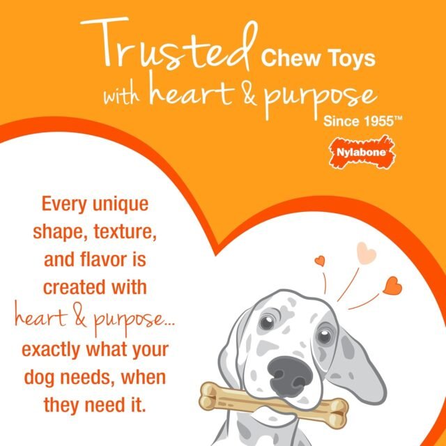 Nylabone Customer Favorites Power Chew Toy Bundle for Dogs, Indestructible Dog Toys for Aggressive Chewers, Pack of 3 Dog Toys, Flavor Medley, Large Dogs - Up to 50 lbs, 3 Pack - Image 11