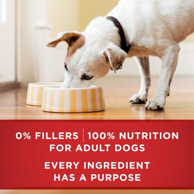 Purina ONE Classic Ground Chicken and Brown Rice, and Beef and Brown Rice Entrees Wet Dog Food Variety Pack - (Pack of 6) 13 oz. Cans - Image 4