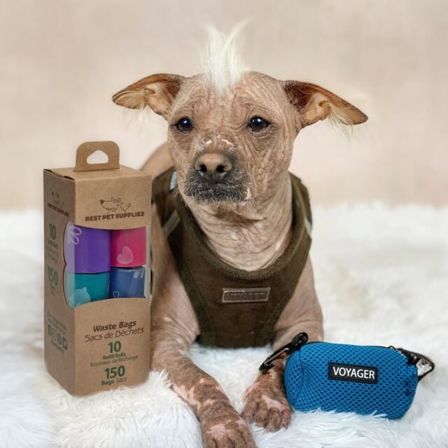 Best Pet Supplies Dog Poop Bags for Waste (150 Bags) Refuse Cleanup, Doggy Roll Replacements for Outdoor Puppy Walking and Travel, Leak Proof and Tear Resistant, Thick Plastic - Assorted Colors - Image 5