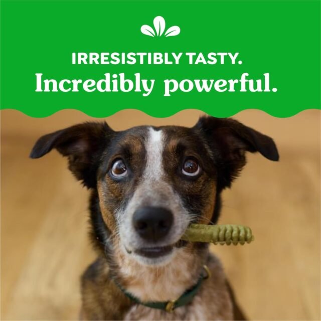 Greenies Original Regular Dental Dog Treats, 36 oz. Pouch (36 Treats) - Image 4