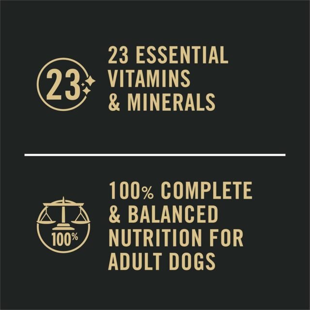 Purina Pro Plan Sensitive Skin and Stomach Dog Food Wet Classic Pate Salmon and Rice Entrée - (Pack of 12) 13 oz. Cans - Image 3