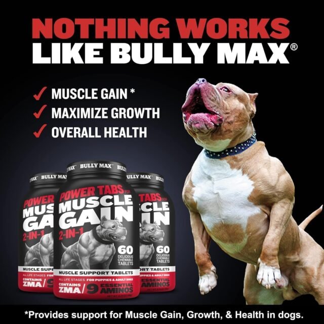 Bully Max 2-in-1 Muscle Builder Chewable Tablets for Puppies & Adult Dogs - Puppy & Dog Vitamins & Supplements for Muscle Gain & Growth - Ultimate Canine Multivitamins for All Breeds & Ages - 60 Tabs - Image 3