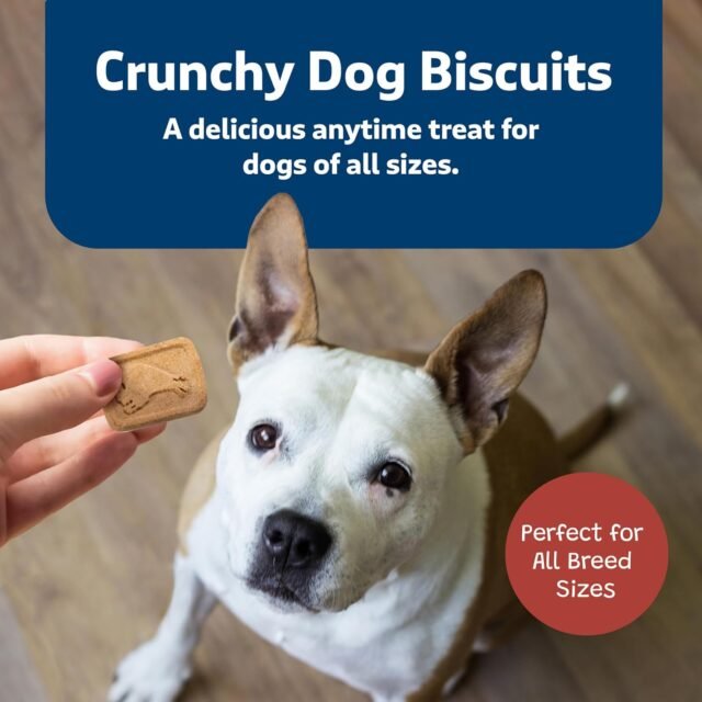 Blue Buffalo Health Bars Crunchy Dog Biscuits, Oven-Baked With Natural Ingredients, Bacon, Egg & Cheese , 16-oz Bag - Image 2