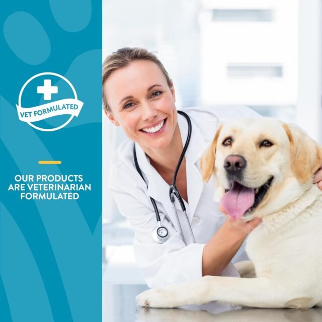 NaturVet Quiet Moments Calming Aid Melatonin Dog Supplement – Helps Reduce Stress in Dogs – for Pet Storm Anxiety, Fireworks, Motion Sickness, Grooming, Separation, Travel – 240 Ct. Chews - Image 4