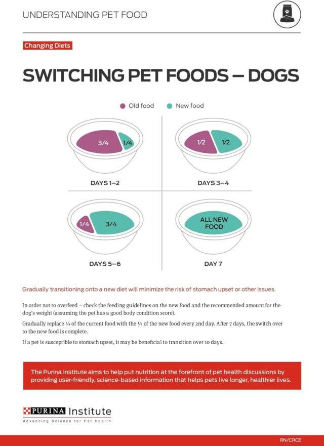 Purina ONE Classic Ground Chicken and Brown Rice, and Beef and Brown Rice Entrees Wet Dog Food Variety Pack - (Pack of 6) 13 oz. Cans - Image 2