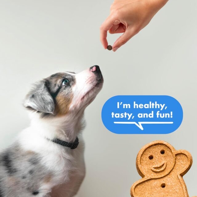 Buddy Biscuits Trainers 10 oz. Pouch of Training Bites Soft & Chewy Dog Treats Made with Bacon Flavor - Image 3