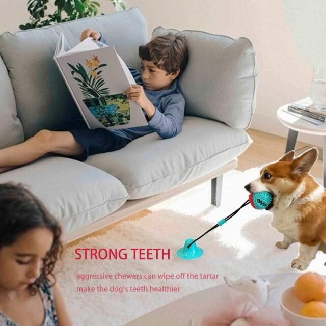 Dog Toys Dog Chew Toys for Aggressive chewers, Puppy Dog Training Treats Teething Rope Toys for Boredom Dog Puzzle Treat Food Dispensing Ball Toys for Puppies Teething (Blue) - Image 6
