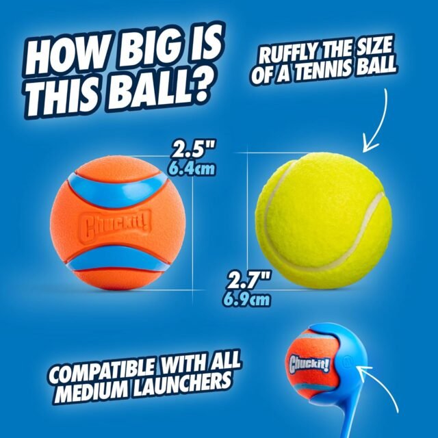 Chuckit! Ultra Ball Dog Toy - Medium Bouncy Fetch Balls For Dogs 20-60 lbs - Made from Durable Rubber - Floating Water Pet Toys - Size Medium - 2.5-inch Diameter - Pack of 2 - Image 5