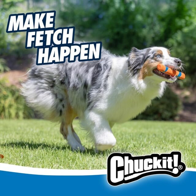 Chuckit! Interactive Dog Toy Ultra Fetch Stick - 12 Inch Outdoor Dog Toy for All Breed Sizes - Image 7
