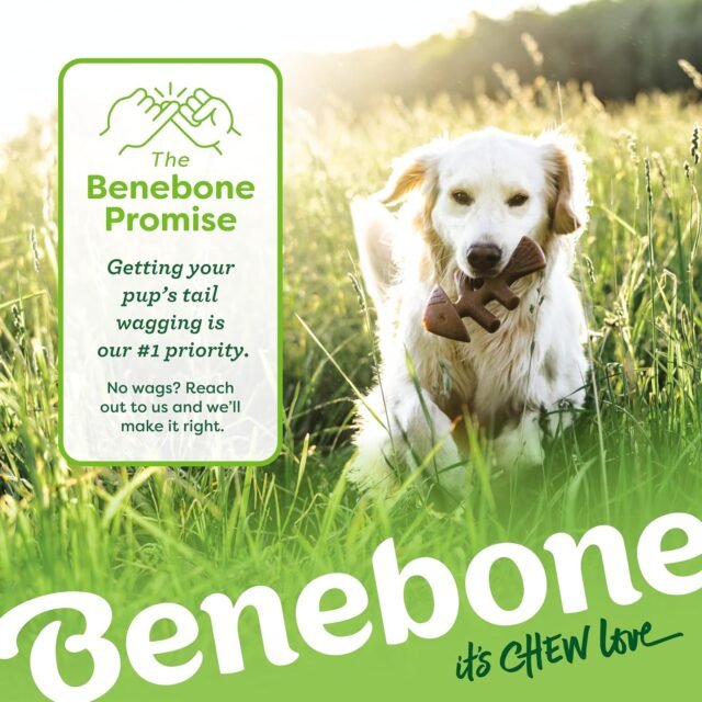Benebone Medium 4-Pack Dog Chew Toys for Aggressive Chewers, Made in USA, 60lbs and Under - Image 4
