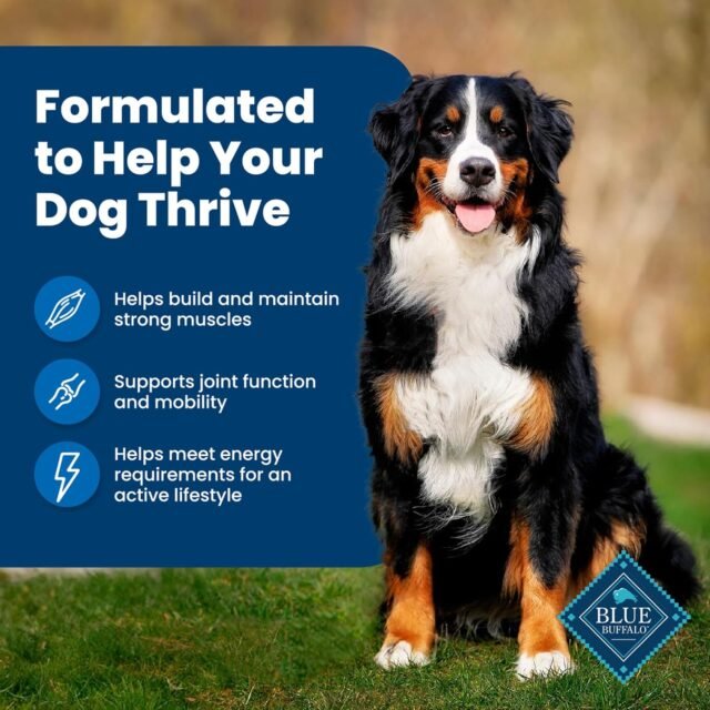 Blue Buffalo Life Protection Formula Adult Dry Dog Food, Helps Build and Maintain Strong Muscles, Made with Natural Ingredients, Chicken & Brown Rice Recipe, 30-lb. Bag - Image 7
