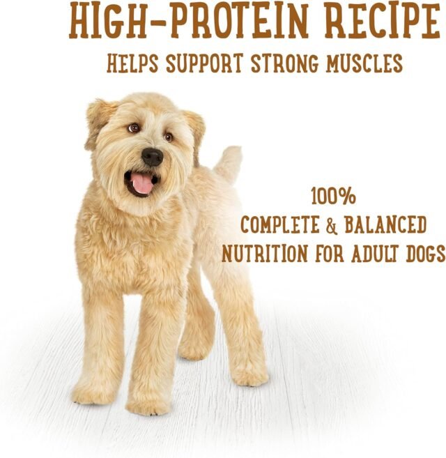 Purina Beneful Gravy Wet Dog Food Variety Pack, Prepared Meals Stew - (12) 10 oz. Tubs - Image 2
