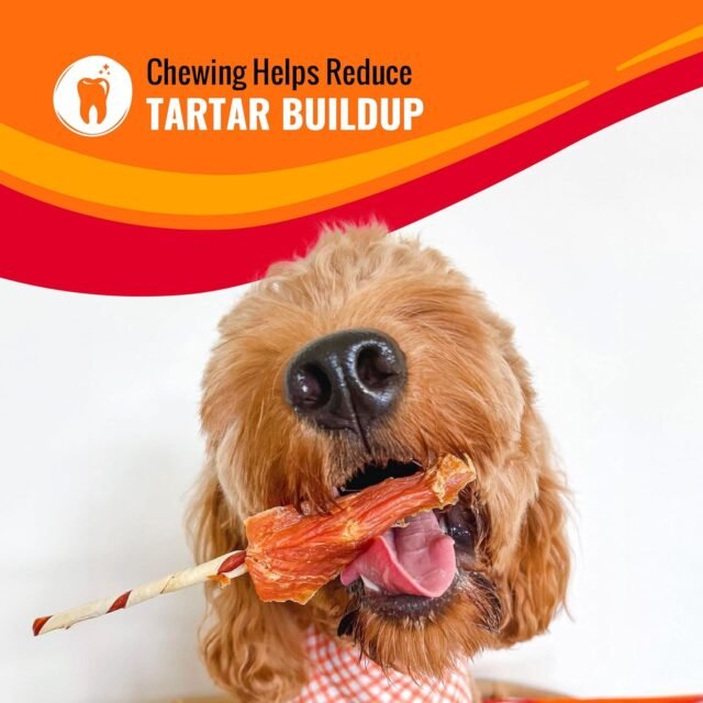 Good ‘n’ Fun Triple Flavor Wings Chews for All Dogs, 12 Ounces, Treat Your Dog to Long-Lasting Chews Made with Chicken, Pork Hide and Beef Hide - Image 5