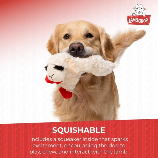 Multipet Lamb Chop Dog Plush Toy - Squeaky Dog Toy for Small & Medium Dogs - Extra Soft Plush Dog Toy - Stuffed Animal Dog Toy for Cuddling & Playing - Cute Pet Toy (10", Cream, 5 Squeakers) - Image 4