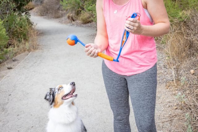 Chuckit! Fetch & Fold Mini 18M Dog Ball Launcher - Image 4