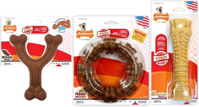 Nylabone Customer Favorites Power Chew Toy Bundle for Dogs, Indestructible Dog Toys for Aggressive Chewers, Pack of 3 Dog Toys, Flavor Medley, Large Dogs - Up to 50 lbs, 3 Pack - Image 5