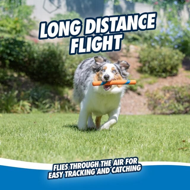 Chuckit! Interactive Dog Toy Ultra Fetch Stick - 12 Inch Outdoor Dog Toy for All Breed Sizes - Image 6