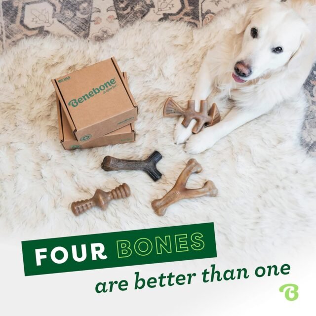 Benebone Medium 4-Pack Dog Chew Toys for Aggressive Chewers, Made in USA, 60lbs and Under - Image 5