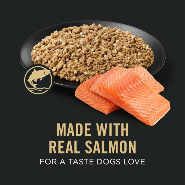Purina Pro Plan Sensitive Skin and Stomach Dog Food Wet Classic Pate Salmon and Rice Entrée - (Pack of 12) 13 oz. Cans - Image 7