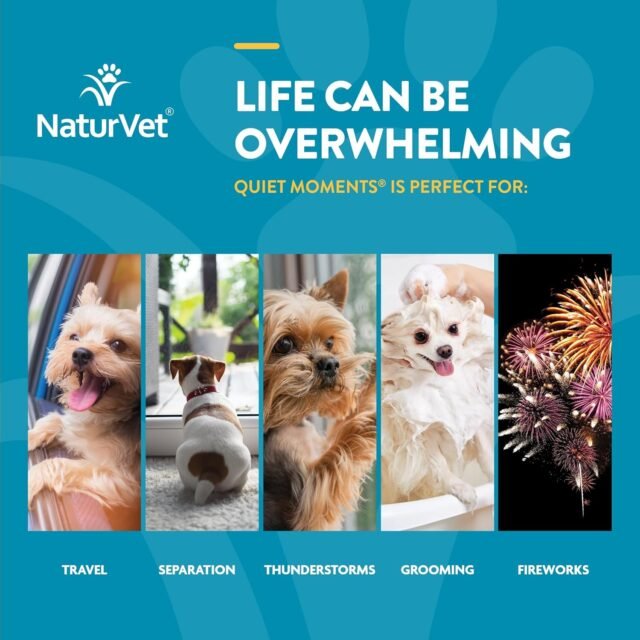 NaturVet Quiet Moments Calming Aid Melatonin Dog Supplement – Helps Reduce Stress in Dogs – for Pet Storm Anxiety, Fireworks, Motion Sickness, Grooming, Separation, Travel – 240 Ct. Chews - Image 7
