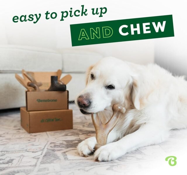 Benebone Medium 4-Pack Dog Chew Toys for Aggressive Chewers, Made in USA, 60lbs and Under - Image 6