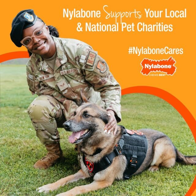 Nylabone Customer Favorites Power Chew Toy Bundle for Dogs, Indestructible Dog Toys for Aggressive Chewers, Pack of 3 Dog Toys, Flavor Medley, Large Dogs - Up to 50 lbs, 3 Pack - Image 7